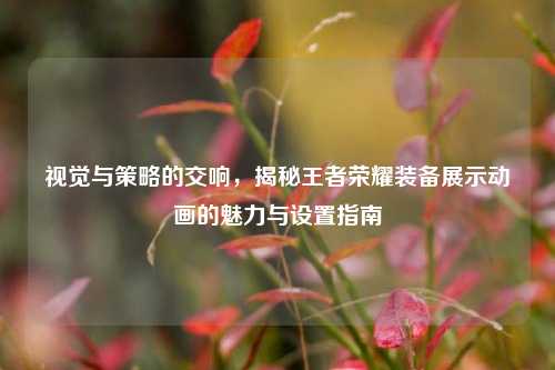 视觉与策略的交响,揭秘王者荣耀装备展示动画的魅力与设置指南