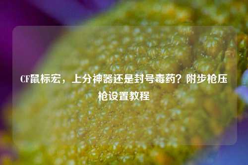 CF鼠标宏,上分神器还是封号毒药?附步枪压枪设置教程