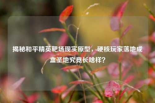 揭秘和平精英靶场现实原型,硬核玩家落地成盒圣地究竟长啥样?