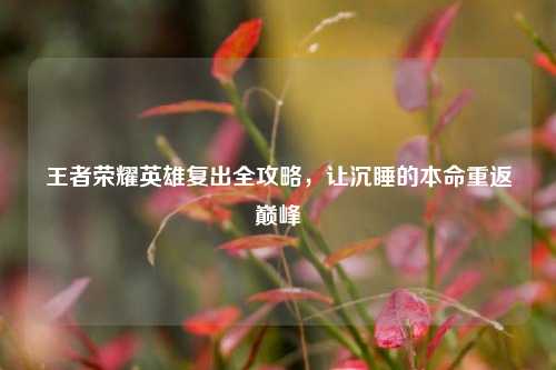 王者荣耀英雄复出全攻略，让沉睡的本命重返巅峰