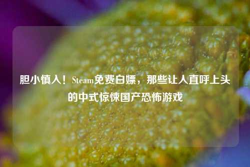 胆小慎入!Steam免费白嫖,那些让人直呼上头的中式惊悚国产恐怖游戏