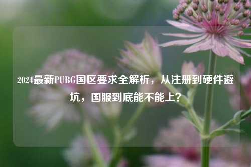2024最新PUBG国区要求全解析，从注册到硬件避坑，国服到底能不能上？
