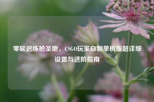 零延迟练枪圣地，CSGO玩家自制单机版超详细设置与进阶指南