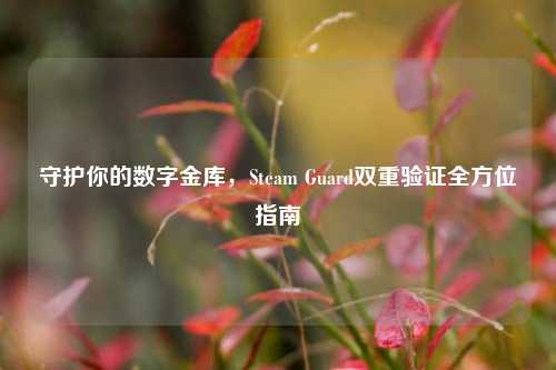 守护你的数字金库,Steam Guard双重验证全方位指南