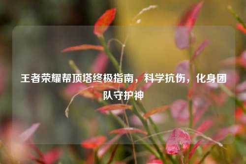 王者荣耀帮顶塔终极指南,科学抗伤,化身团队守护神