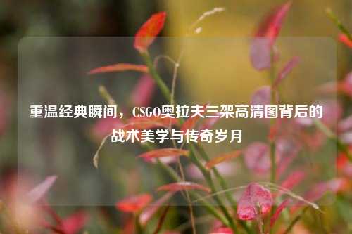 重温经典瞬间,CSGO奥拉夫三架高清图背后的战术美学与传奇岁月