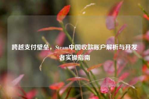 跨越支付壁垒,Steam中国收款账户解析与开发者实操指南