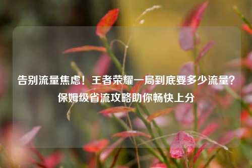 告别流量焦虑!王者荣耀一局到底要多少流量?保姆级省流攻略助你畅快上分