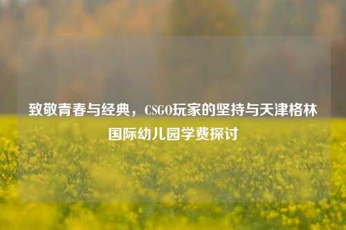 致敬青春与经典，CSGO玩家的坚持与天津格林国际幼儿园学费探讨
