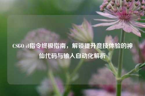 CSGO cl指令终极指南，解锁提升竞技体验的神仙代码与输入自动化解析