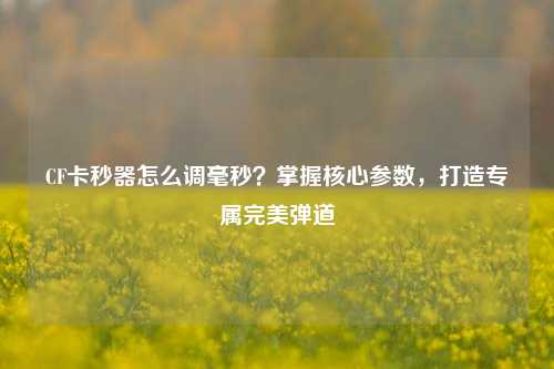 CF卡秒器怎么调毫秒？掌握核心参数，打造专属完美弹道