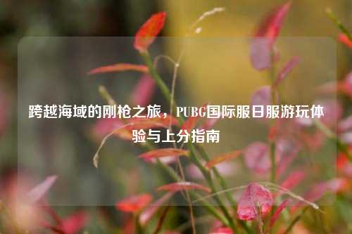 跨越海域的刚枪之旅,PUBG国际服日服游玩体验与上分指南