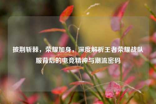 披荆斩棘，荣耀加身，深度解析王者荣耀战队服背后的电竞精神与潮流密码