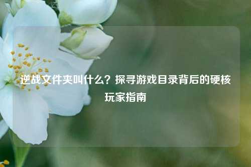 逆战文件夹叫什么？探寻游戏目录背后的硬核玩家指南